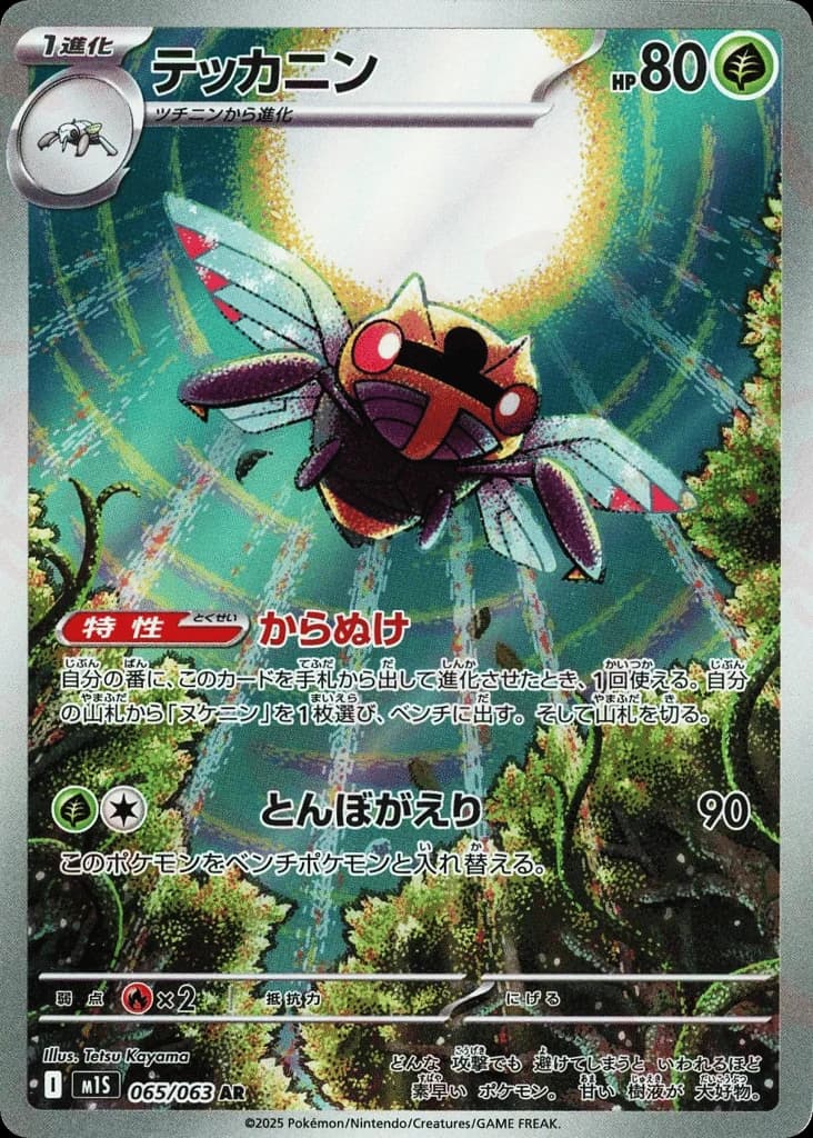 Ninjask (65)