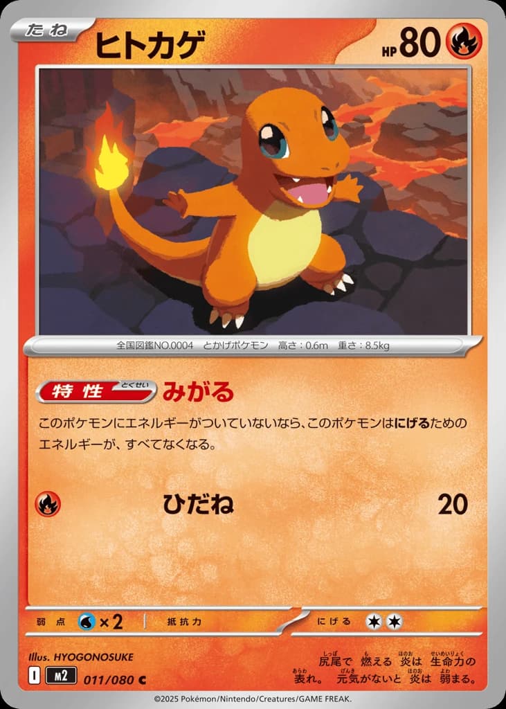 Charmander (11)