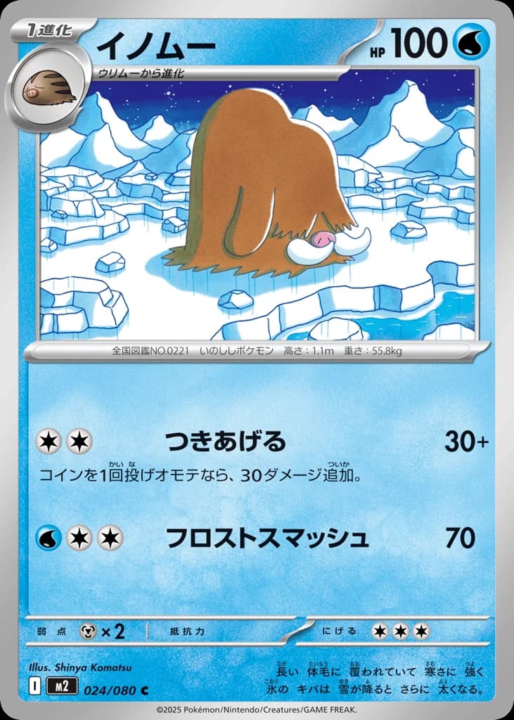 Piloswine (24)