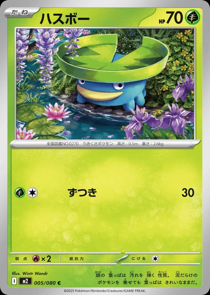 Lotad (5)