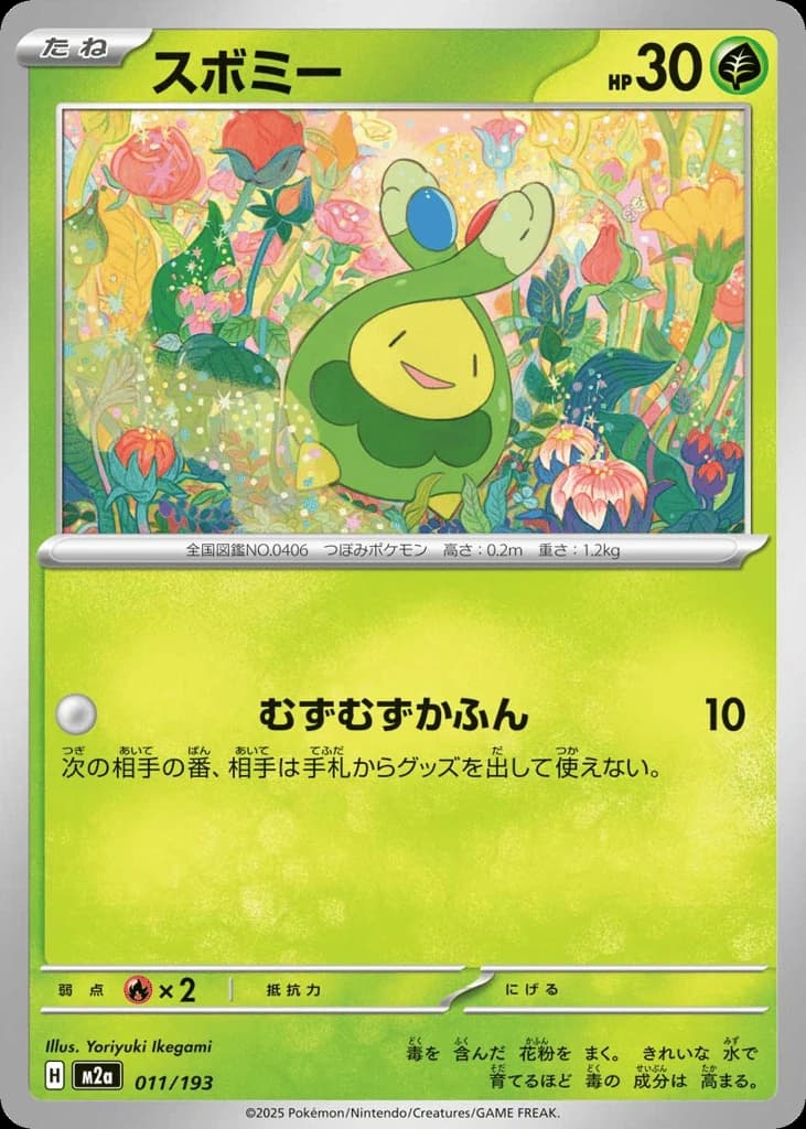 Budew (11)