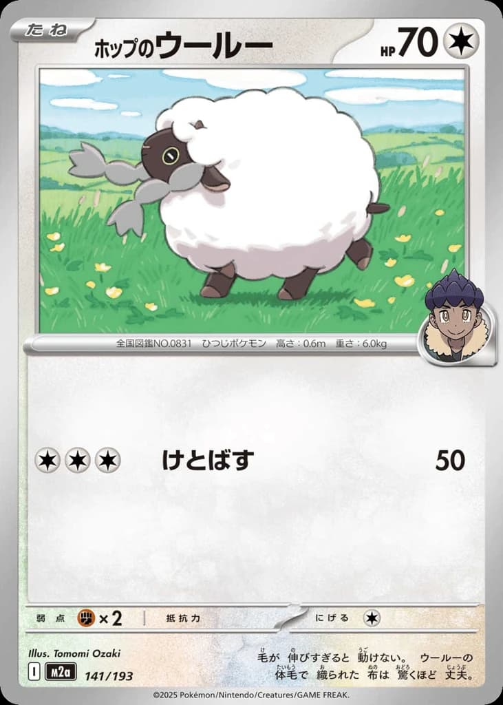 Hop's Wooloo (141)