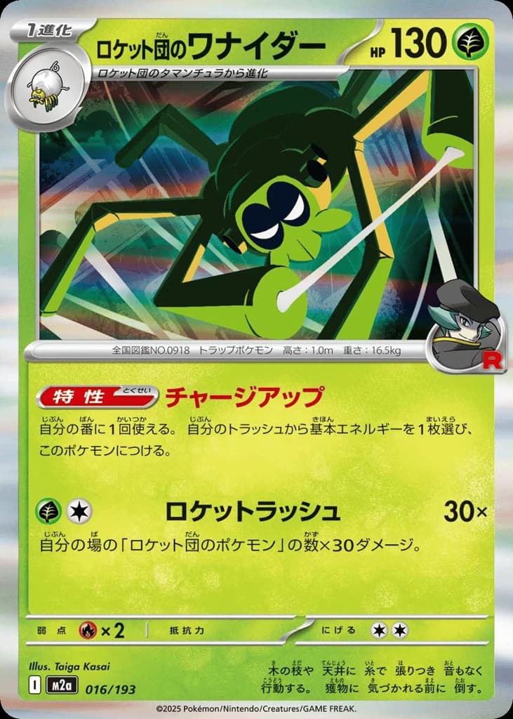 Team Rocket's Spidops (16)