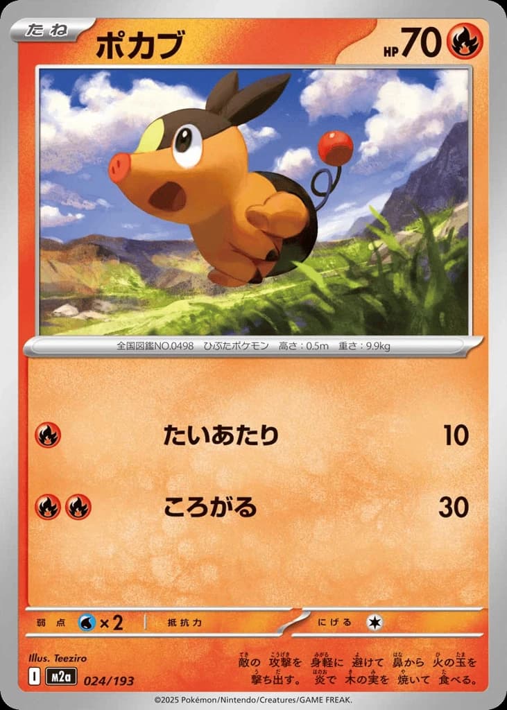 Tepig (24)