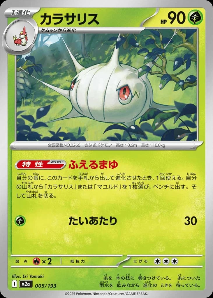 Silcoon (5)