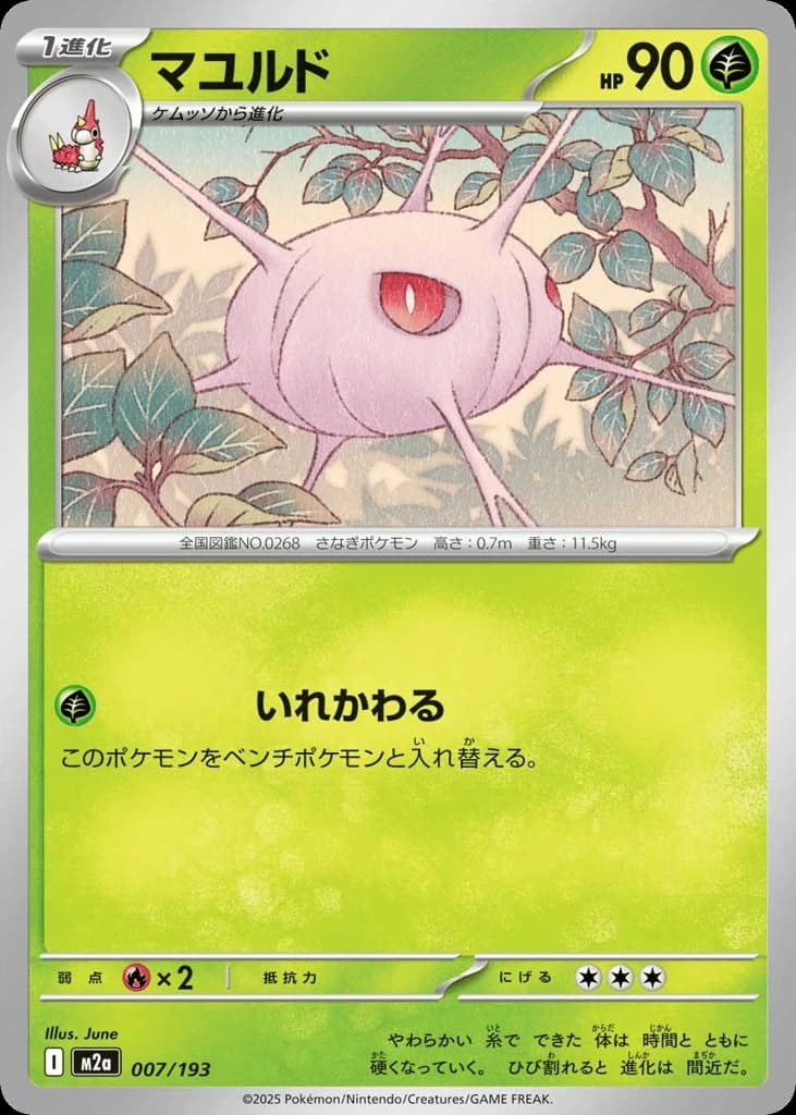 Cascoon (7)
