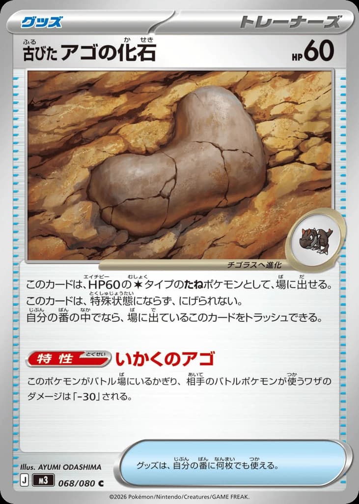 Antique Jaw Fossil (68)