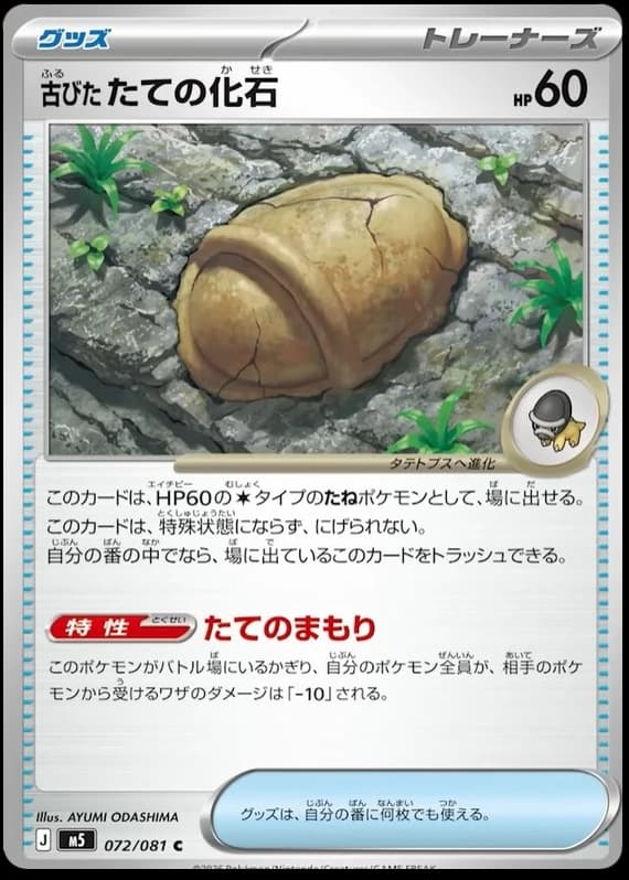 Antique Armor Fossil (72)