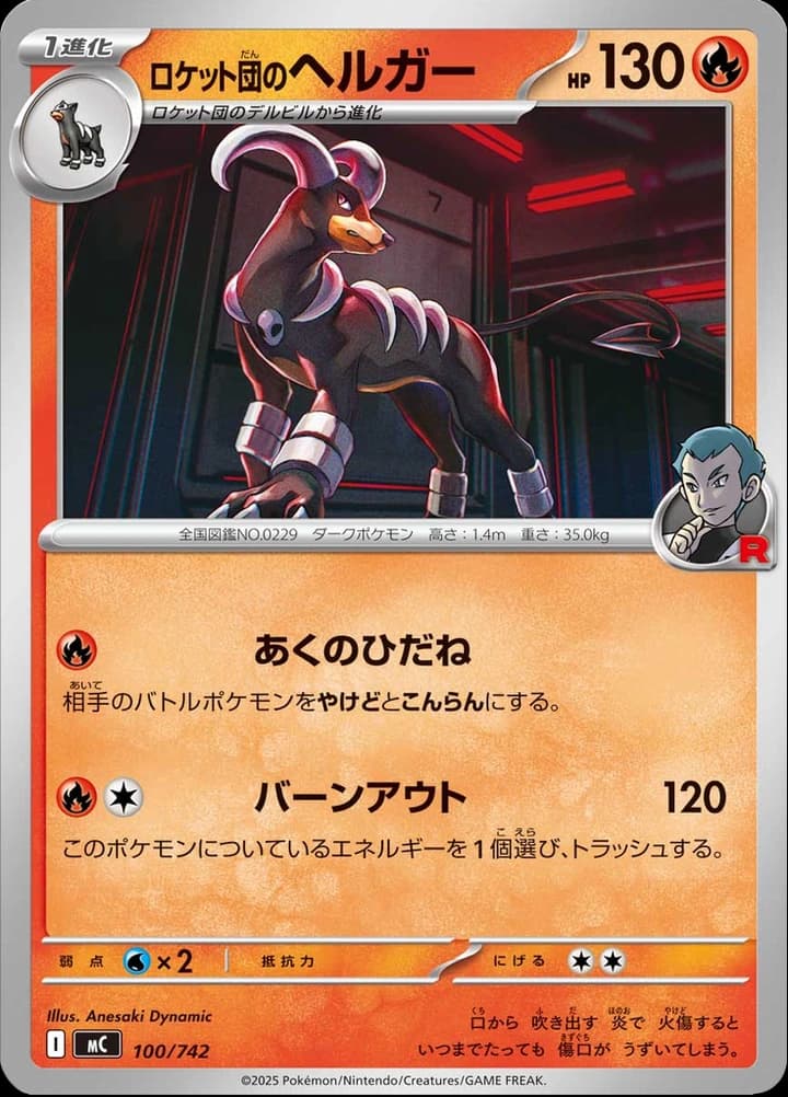 Team Rocket's Houndoom (100)