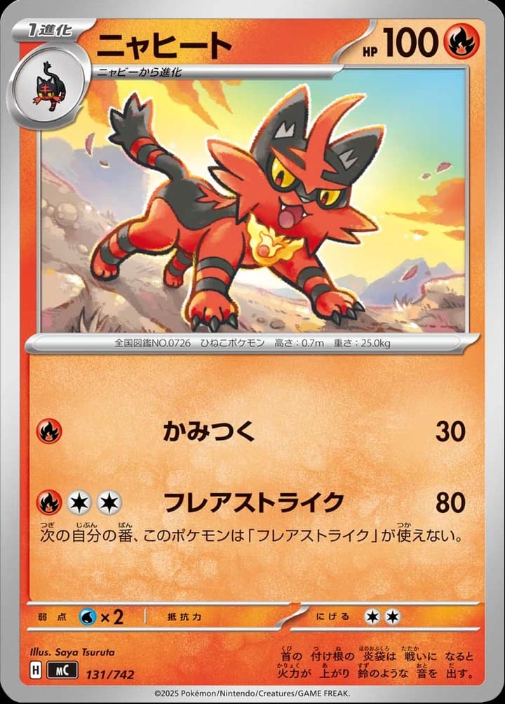 Torracat (131)