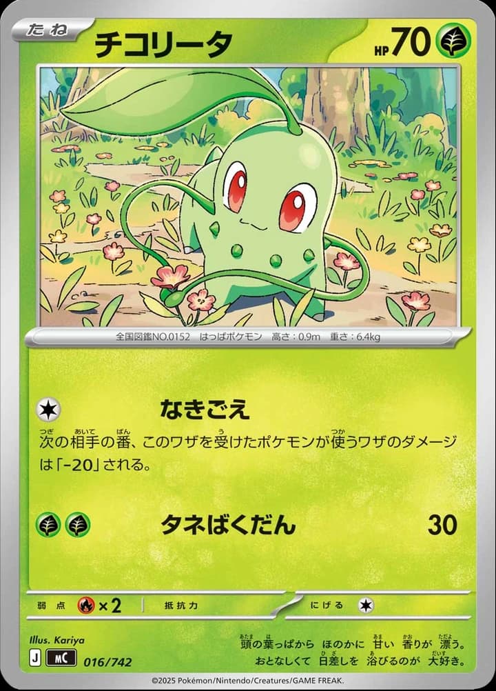 Chikorita (16)
