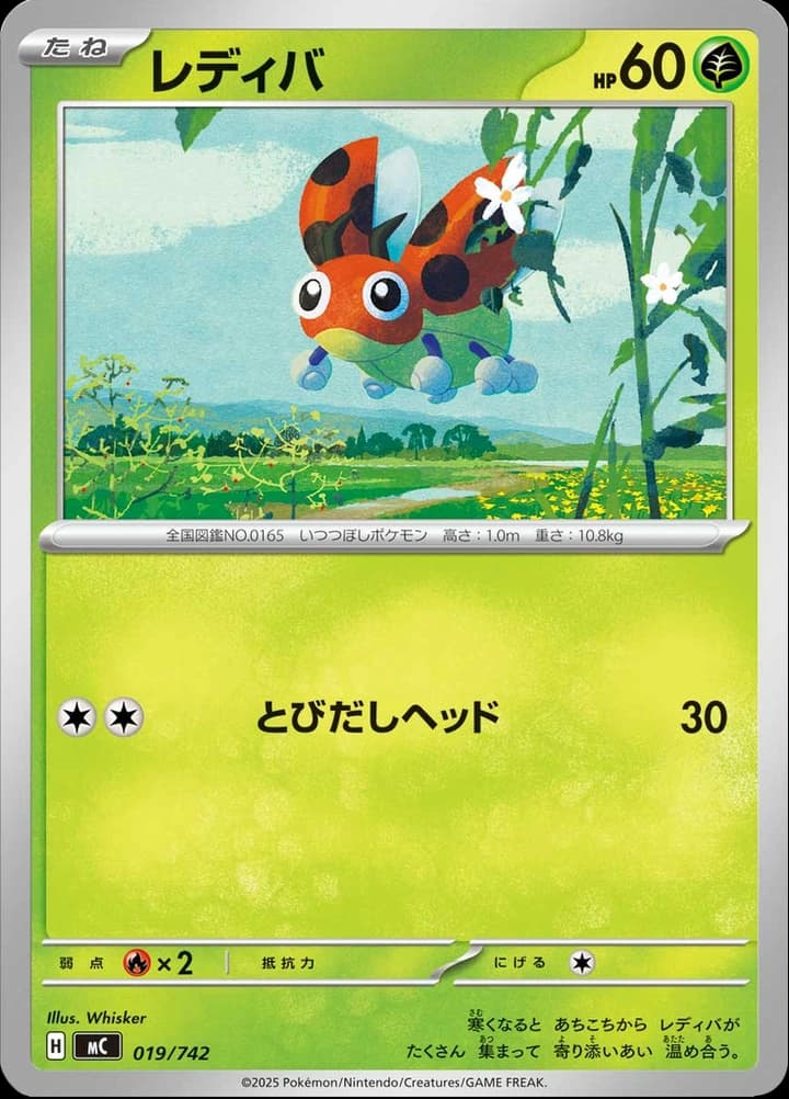Ledyba (19)