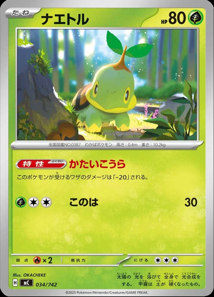 Turtwig (34)