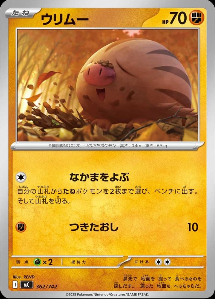 Swinub (362)