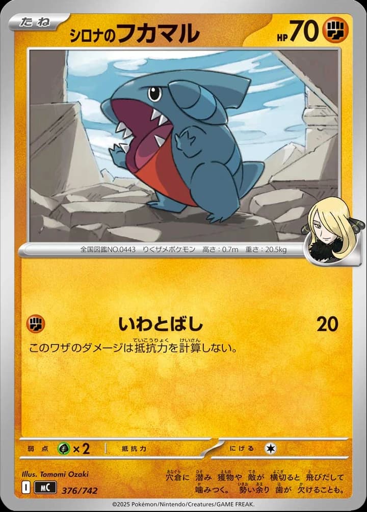 Cynthia's Gible (376)
