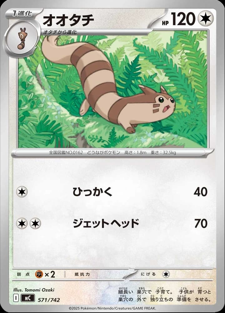 Furret (571)