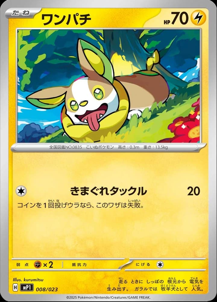 Yamper (8)