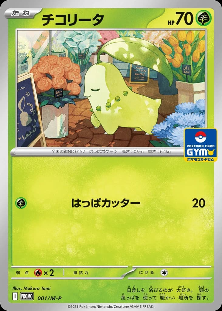 Chikorita (1)