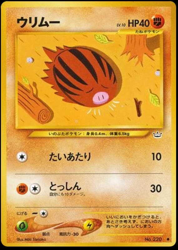 Swinub (220)