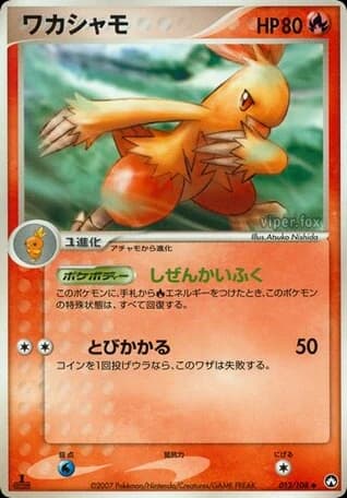Combusken (13)