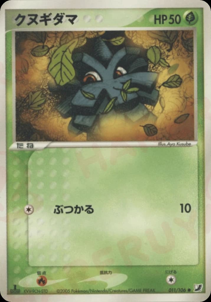 Pineco (11)