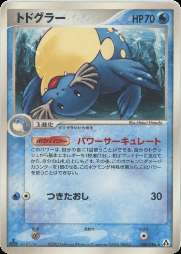 Sealeo (28)