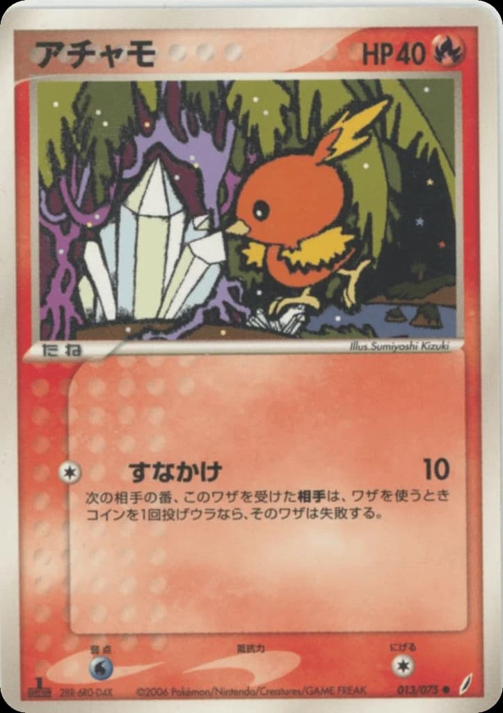 Torchic (13)