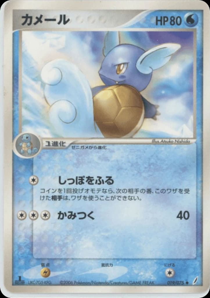 Wartortle (19)