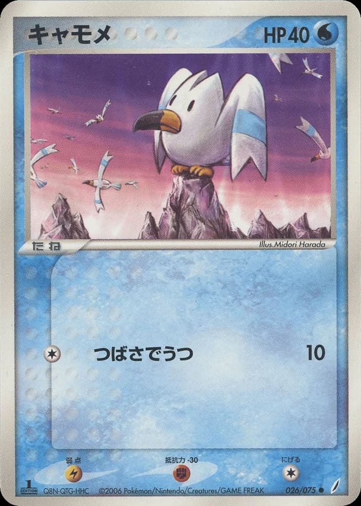 Wingull (26)