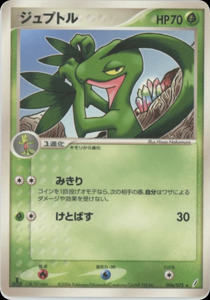 Grovyle (6)