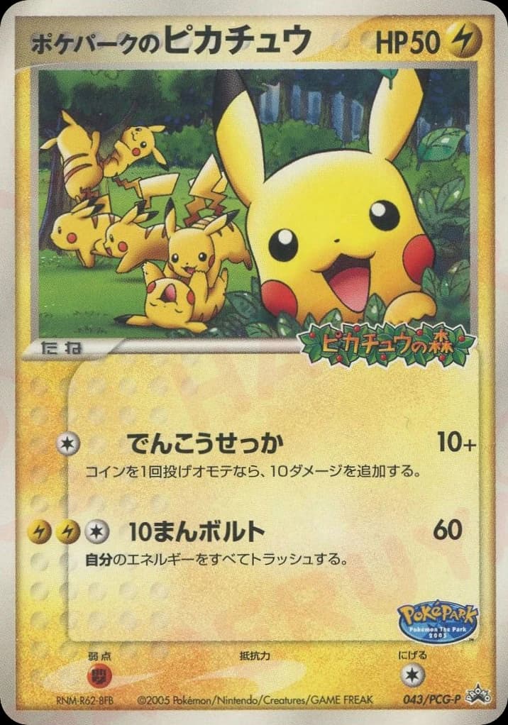 PokéPark's Pikachu (43)