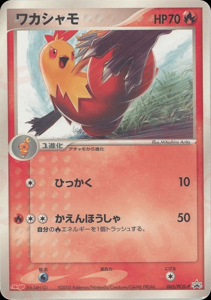 Combusken (65)