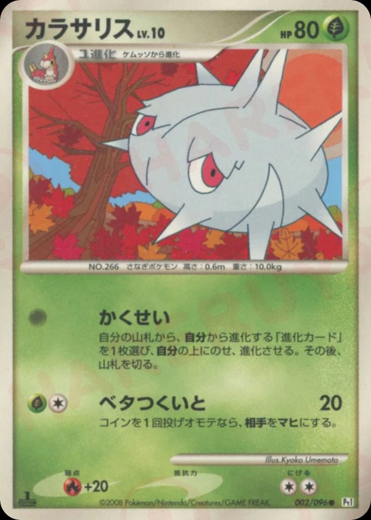 Silcoon (2)