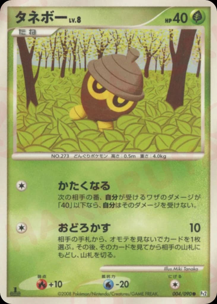 Seedot (4)
