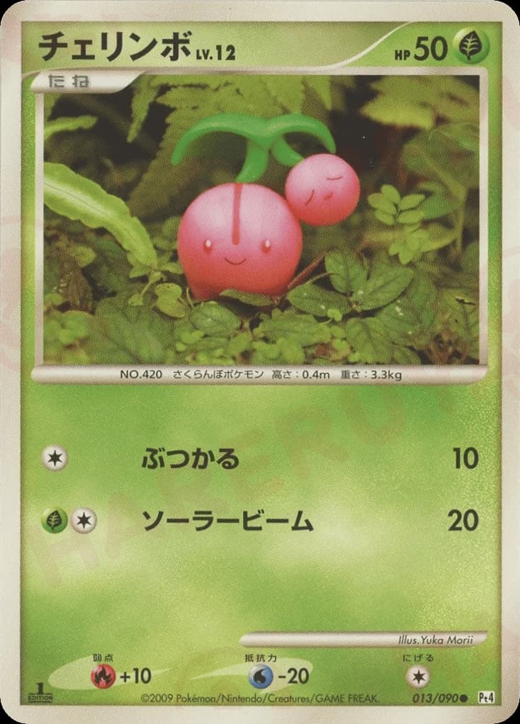 Cherubi (13)