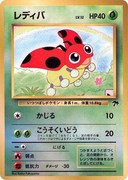 Ledyba (7)