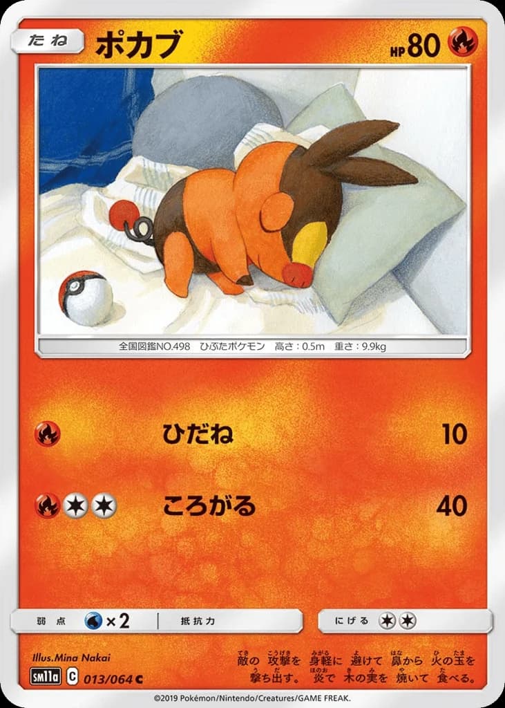 Tepig (13)