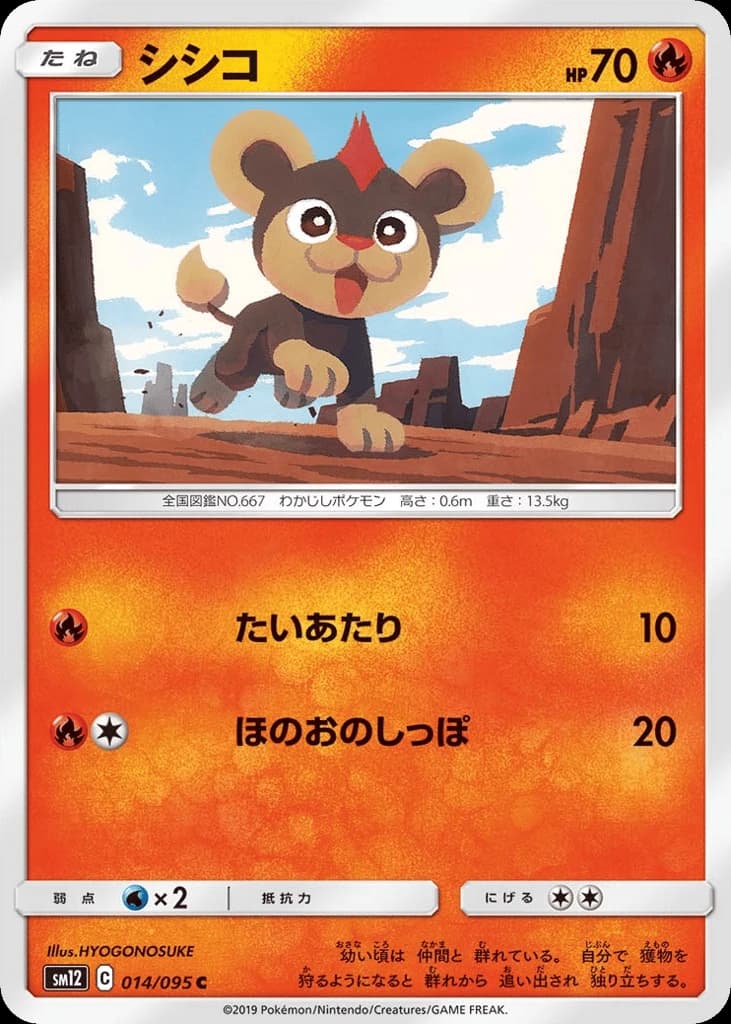 Litleo (14)