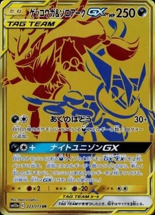Greninja & Zoroark-GX (223)