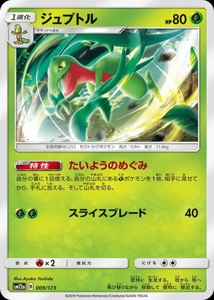 Grovyle (9)