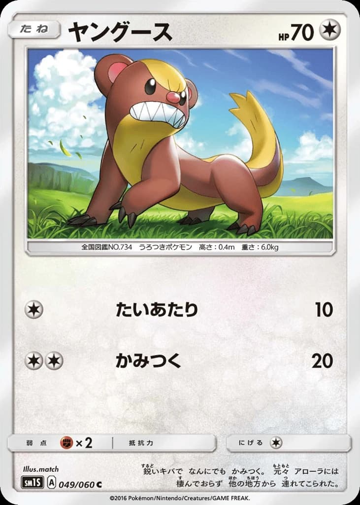 Yungoos (49)