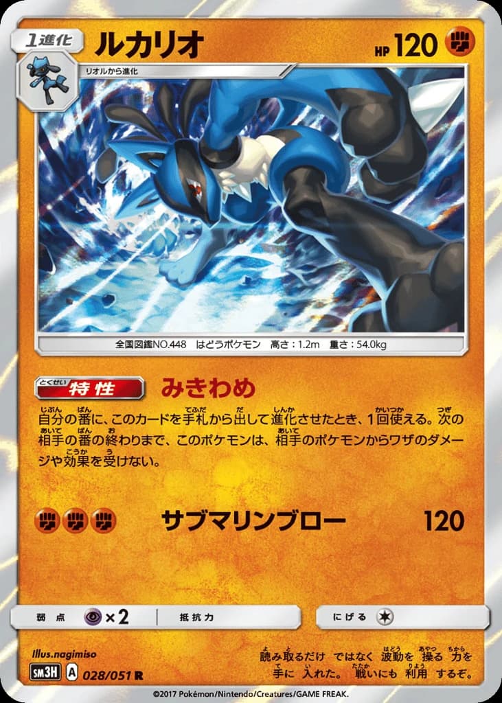 Lucario (28)