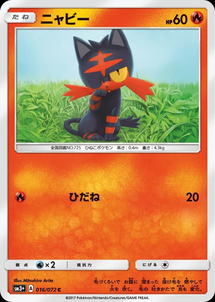 Litten (16)