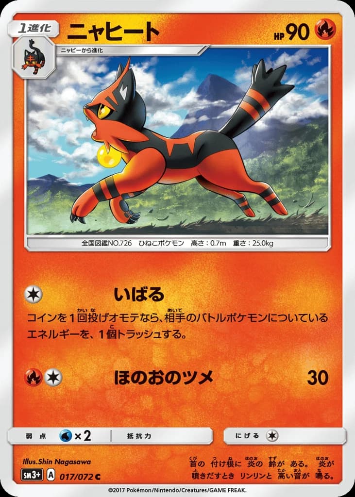 Torracat (17)