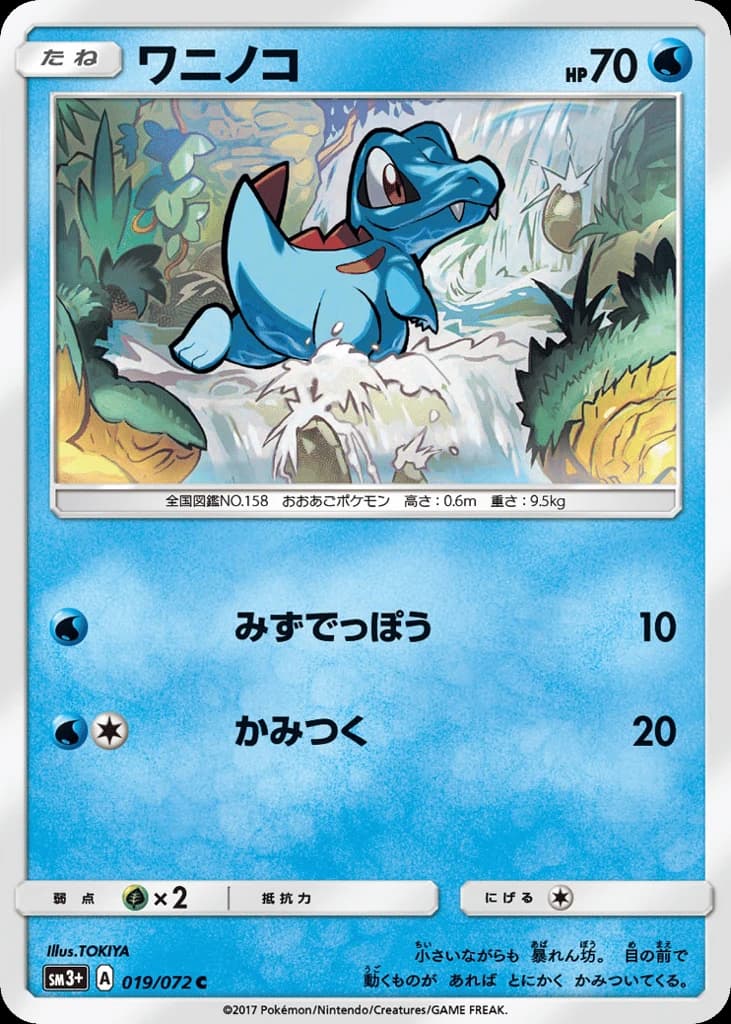 Totodile (19)
