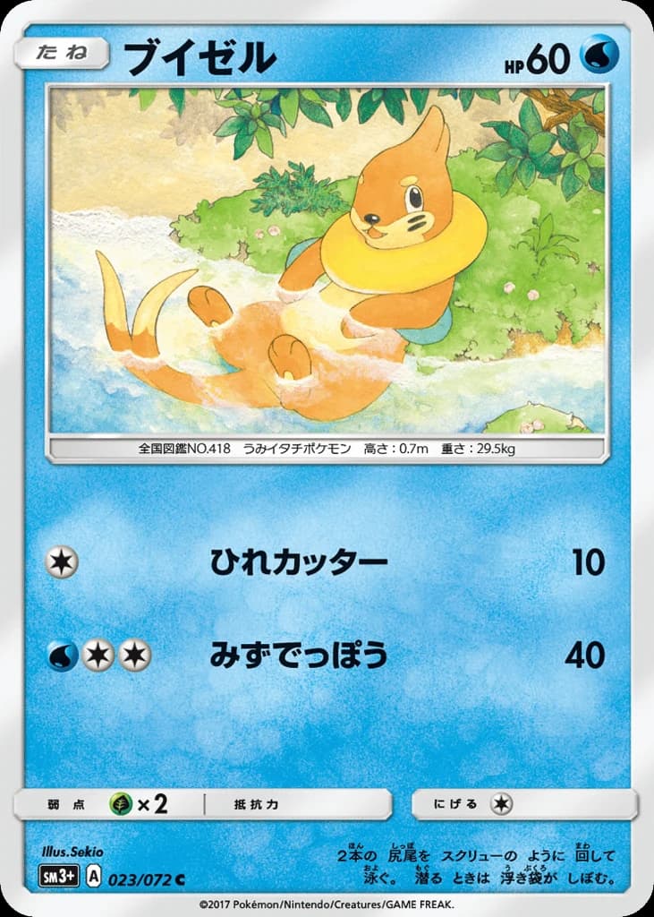 Buizel (23)