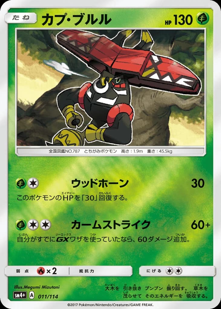 Tapu Bulu (11)