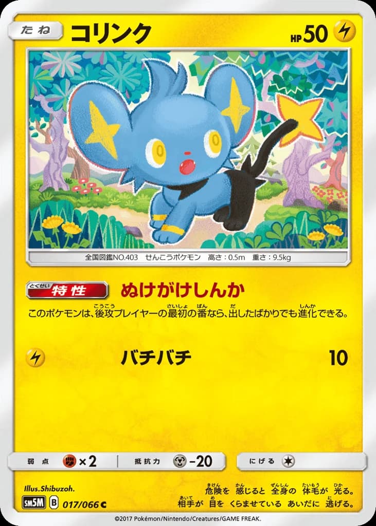 Shinx (17)