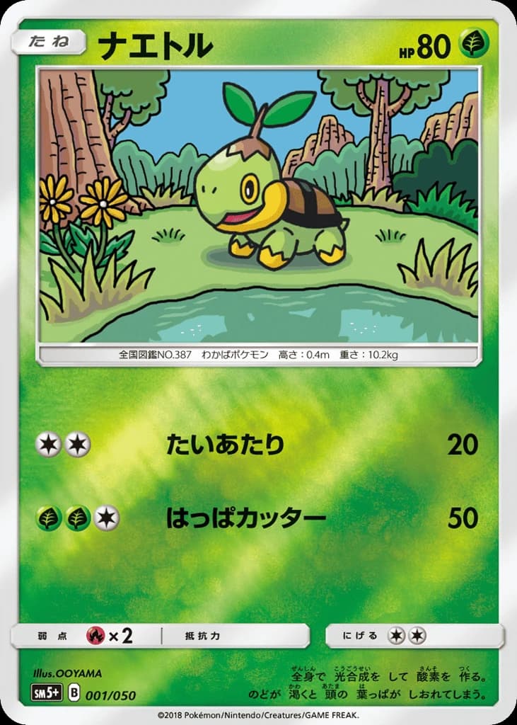 Turtwig (1)