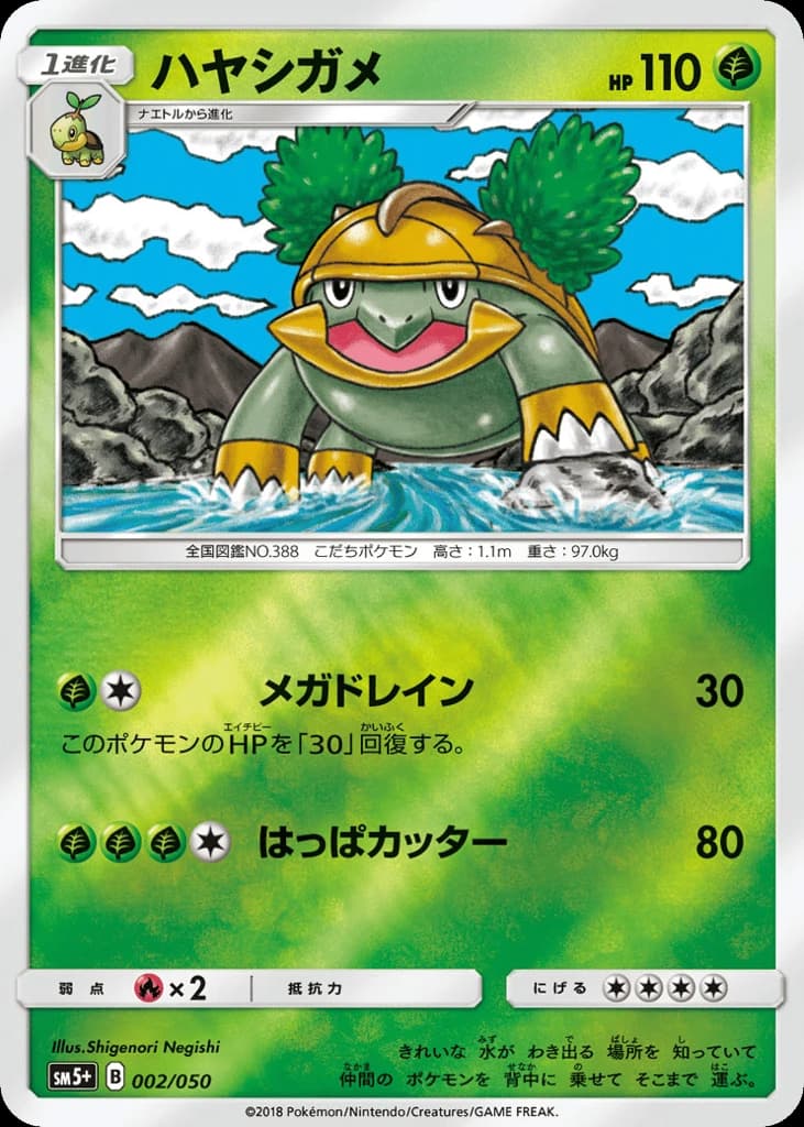 Grotle (2)